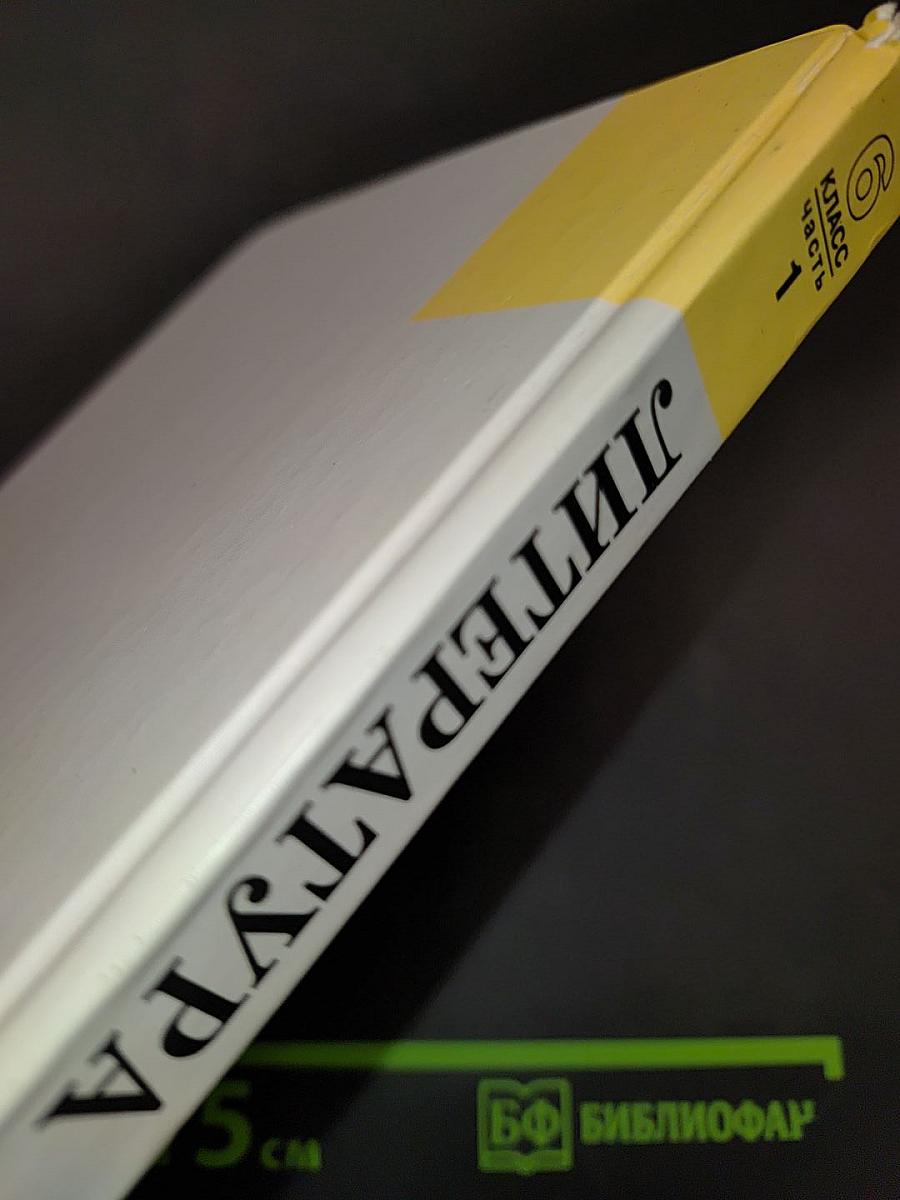 Литература. 6 класс. Учебник для общеобразовательных учреждений. В двух частях. Часть 1
