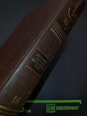 Собрание сочинений в шестнадцати томах. Том шестнадцатый. Повести, рассказы, очерки, стихи. 1917-1924