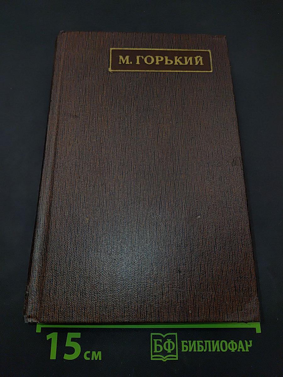 Жизнь Клима Самгина. Том двадцать четвертый