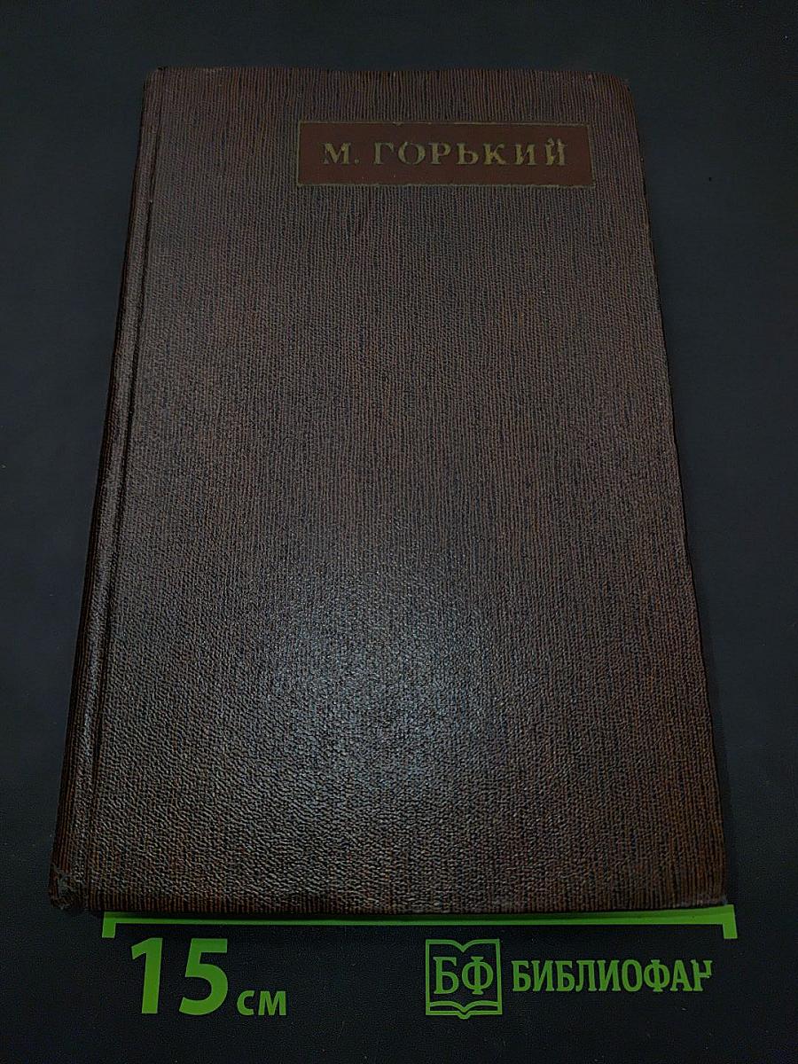 Город Окуров. Жизнь Матвея Кожемякина. Наброски. Том десятый