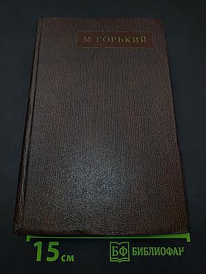 Город Окуров. Жизнь Матвея Кожемякина. Наброски. Том десятый