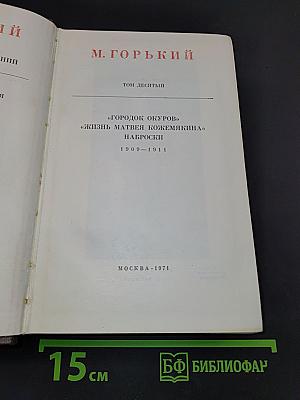 Город Окуров. Жизнь Матвея Кожемякина. Наброски. Том десятый
