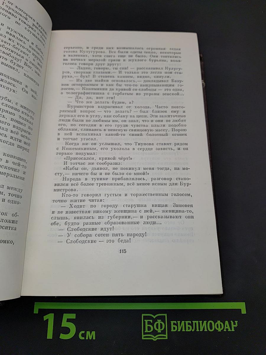 Город Окуров. Жизнь Матвея Кожемякина. Наброски. Том десятый