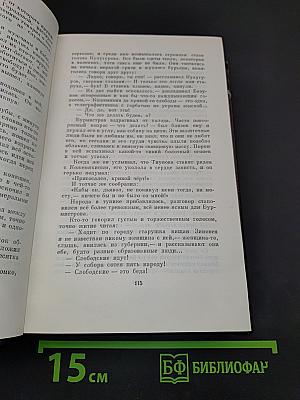 Город Окуров. Жизнь Матвея Кожемякина. Наброски. Том десятый