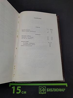 Город Окуров. Жизнь Матвея Кожемякина. Наброски. Том десятый