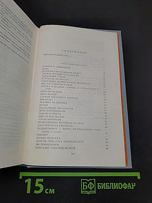 Аркадий Гайдар. Том четвертый. Автобиография