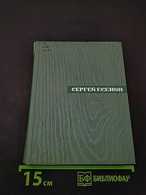Собрание сочинений. Том четвертый. Проза. Статьи и заметки
