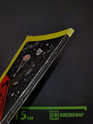 Эстафета космических стартов