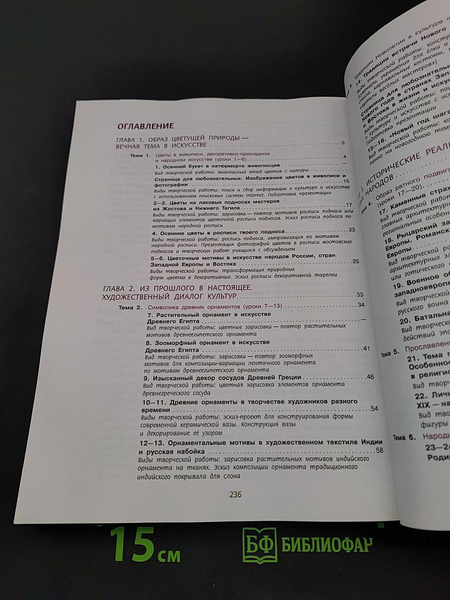 Изобразительное искусство. 6 класс