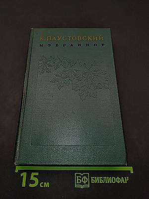 Избранное. Том второй. Маленькие повести. Рассказы