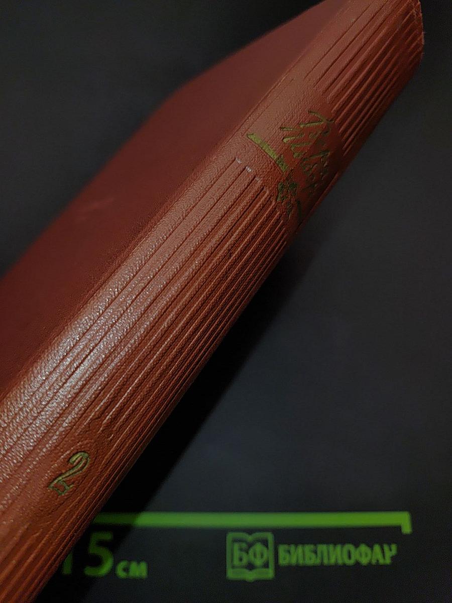 Избранные произведения. Том второй. Повести и рассказы. Почти три года (Ленинградский дневник). Очерки