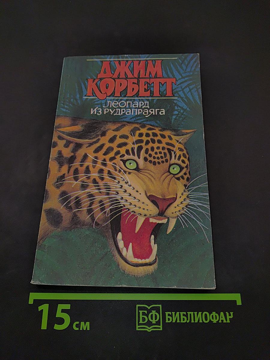 Леопард из Рудрапраяга