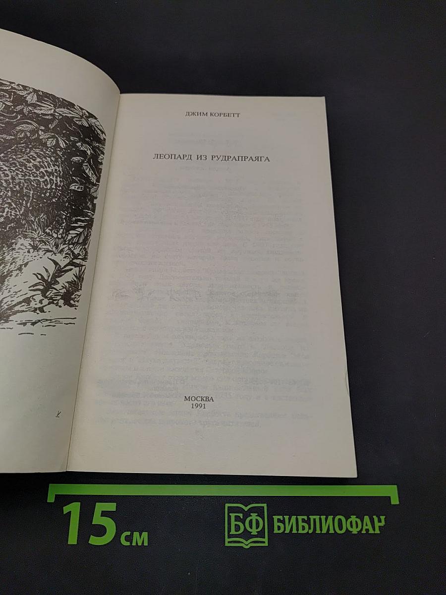 Леопард из Рудрапраяга