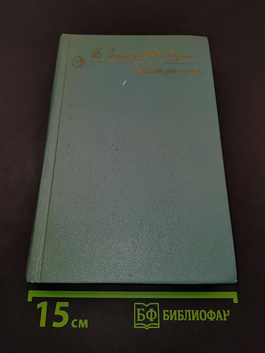 Тайный советник. Книга вторая