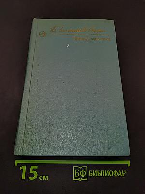 Тайный советник. Книга вторая