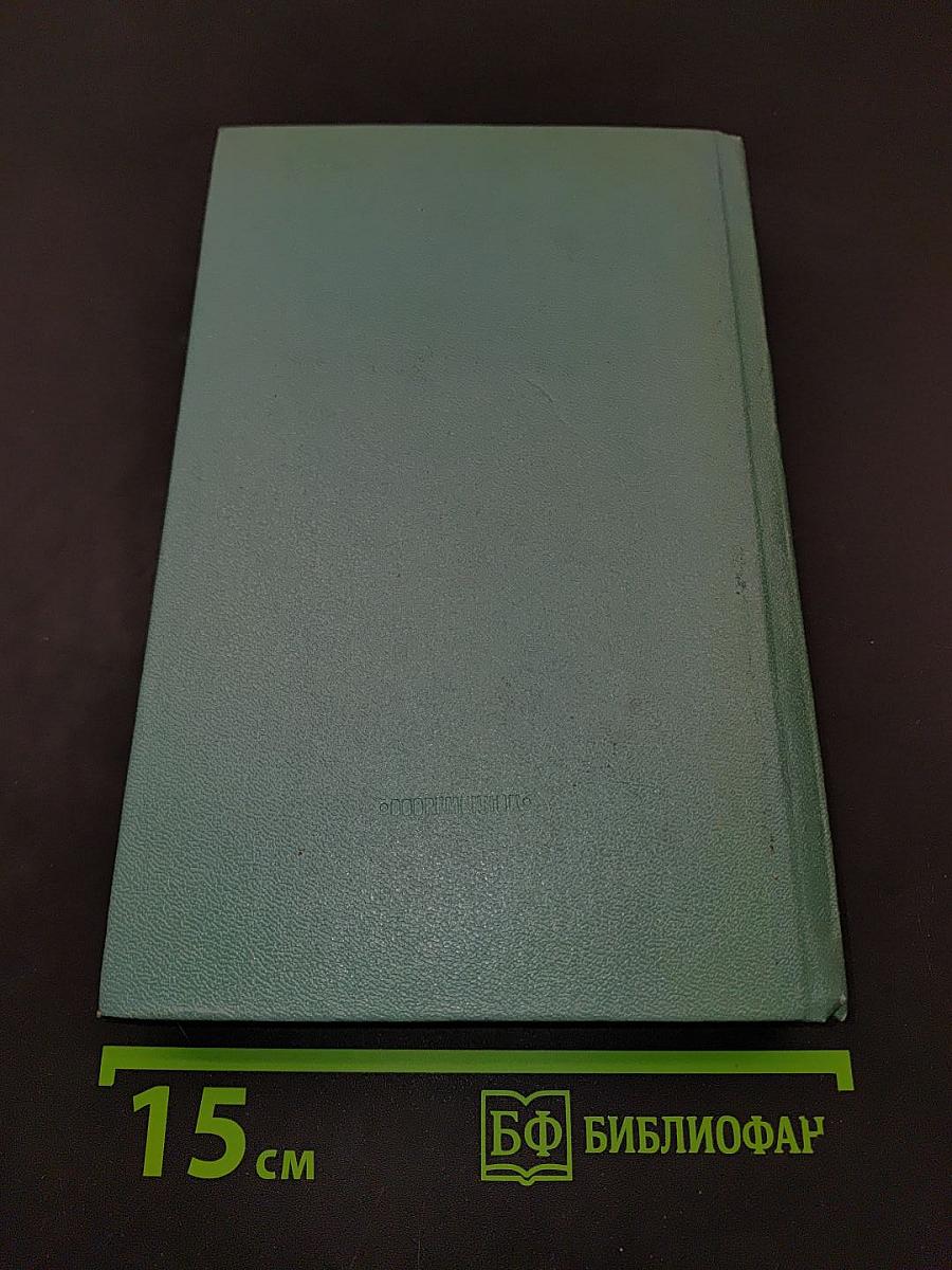 Тайный советник. Книга вторая