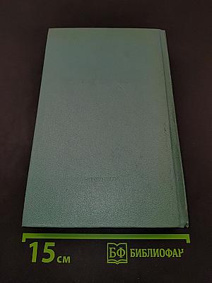 Тайный советник. Книга вторая