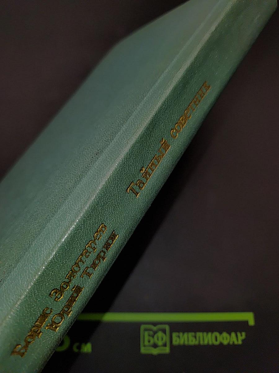 Тайный советник. Книга вторая