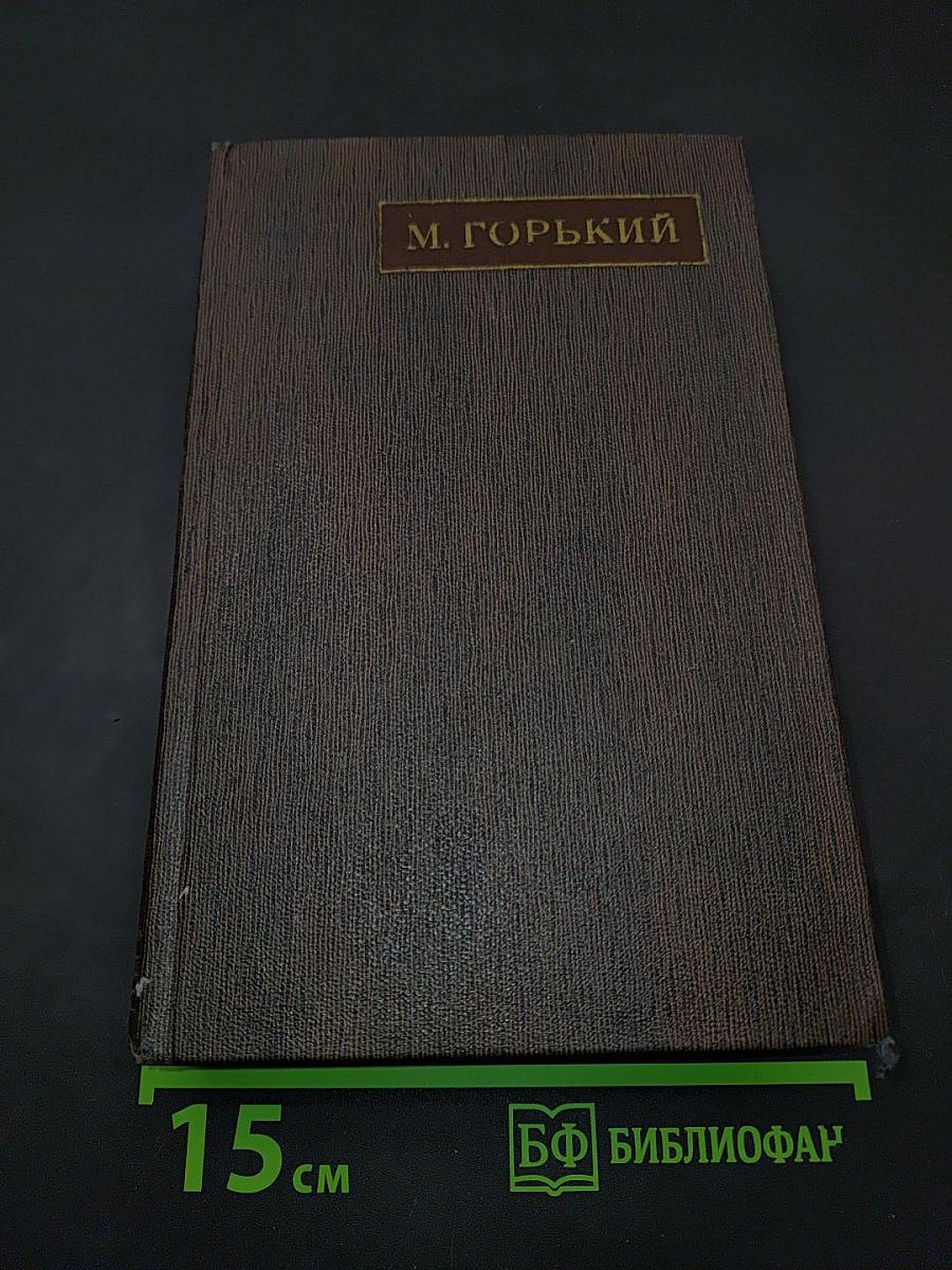 Собрание сочинений в пятнадцати томах. Том пятнадцатый. Повести, наброски 1910-1915