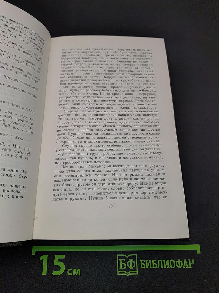Собрание сочинений в пятнадцати томах. Том пятнадцатый. Повести, наброски 1910-1915