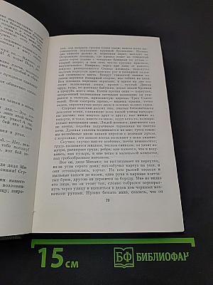 Собрание сочинений в пятнадцати томах. Том пятнадцатый. Повести, наброски 1910-1915