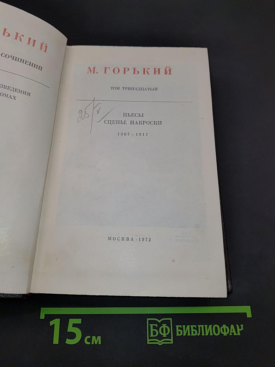 Собрание сочинений. Том тринадцатый. Пьесы, сцены, наброски 1907-1917
