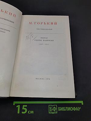Собрание сочинений. Том тринадцатый. Пьесы, сцены, наброски 1907-1917