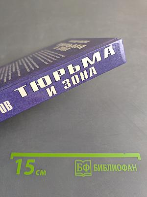 Тюрьма и зона. От звонка до звонка между законом и совестью. Факты и документы