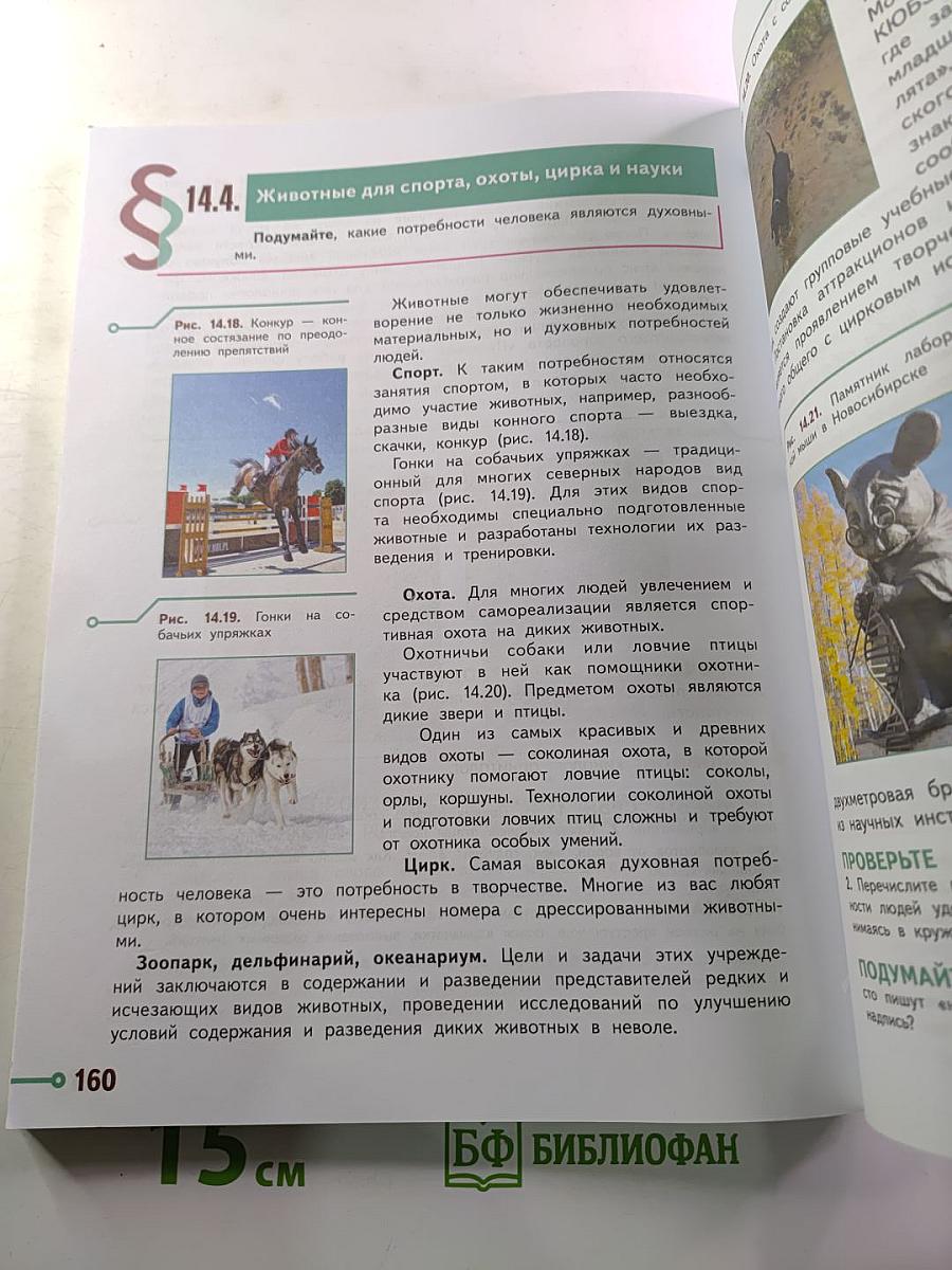 Технология 5 класс