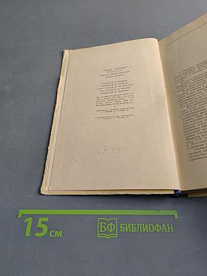 День из жизни писателя