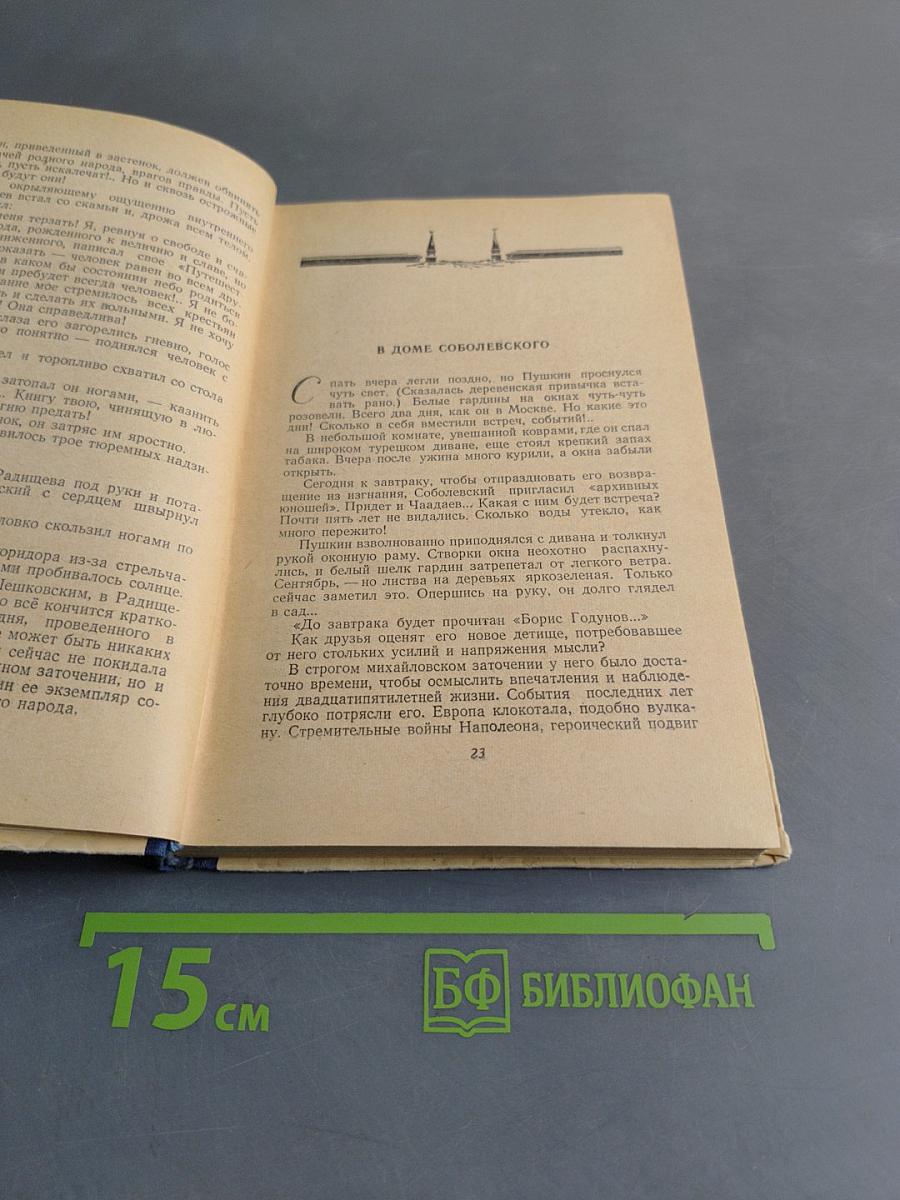 День из жизни писателя