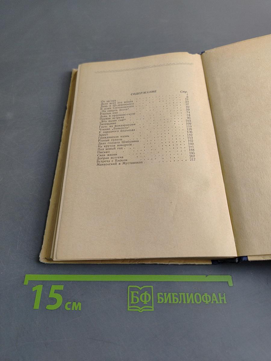 День из жизни писателя