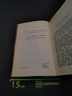 Тени старинных замков