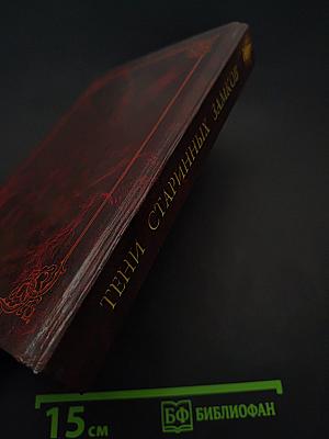 Тени старинных замков