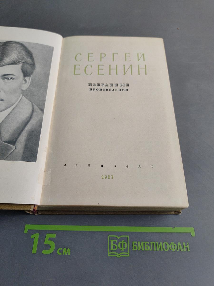 Стихотворения. Поэмы