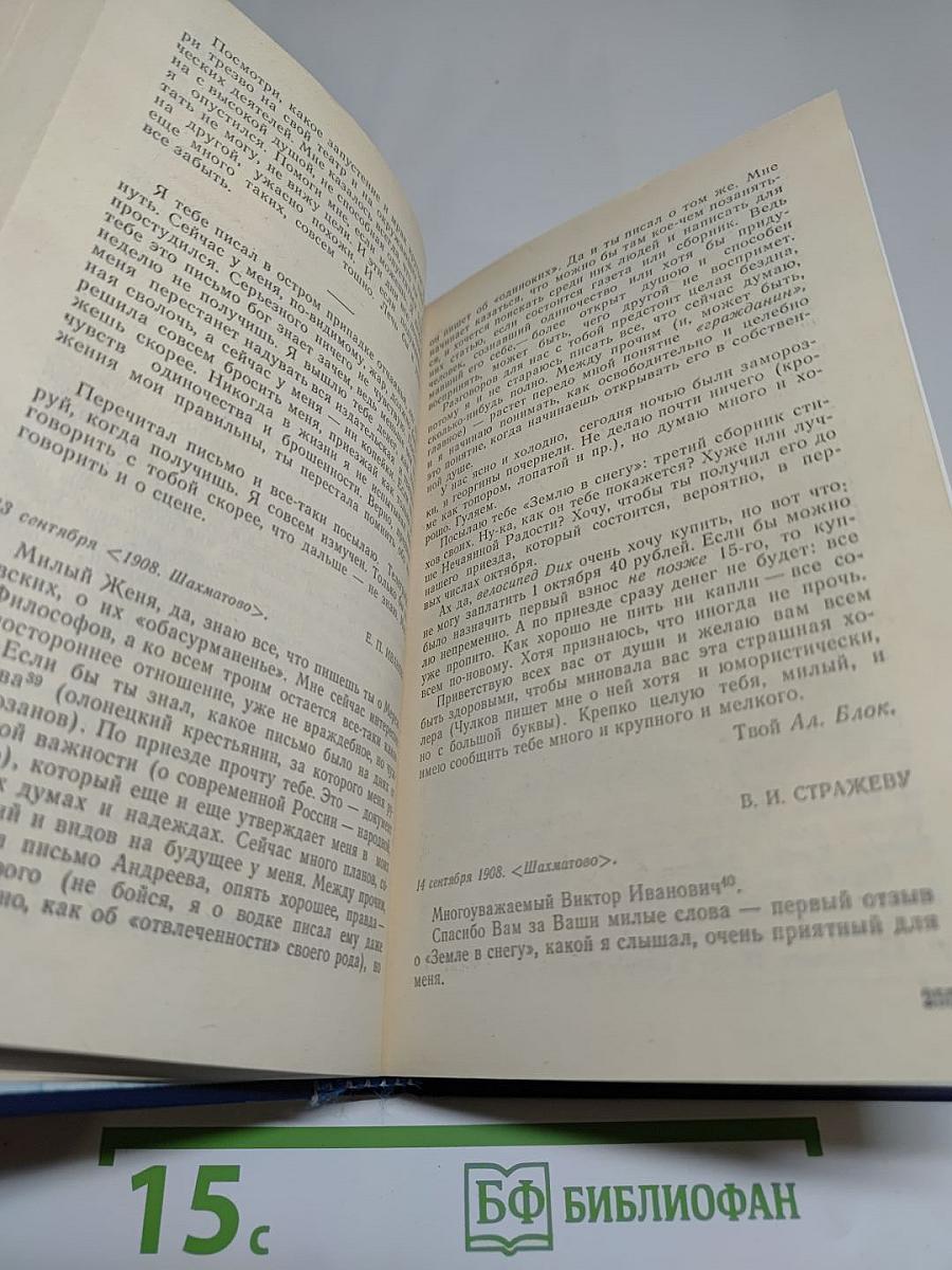 Я лучшей доли не искал... (Судьба Александра Блока в письмах, дневниках, воспоминаниях)