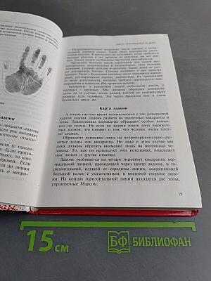 Тайная сила хиромантии. Новый взгляд на древнее искусство