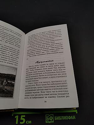 Долгая дней