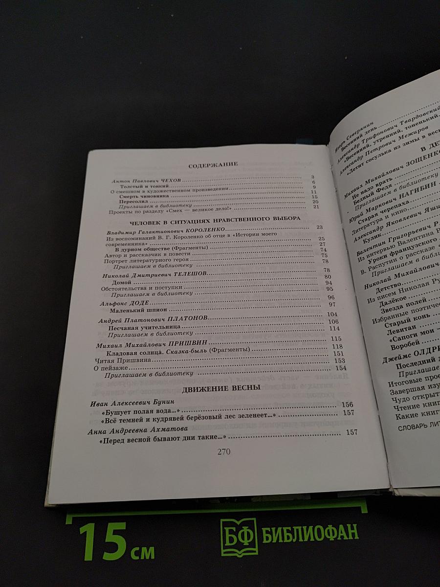 Литература. Учебник для общеобразовательных учреждений. В двух частях. Часть 2. 6 класс