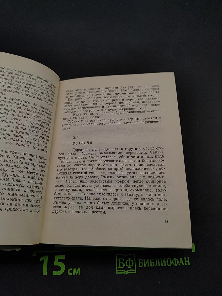 Рыжик