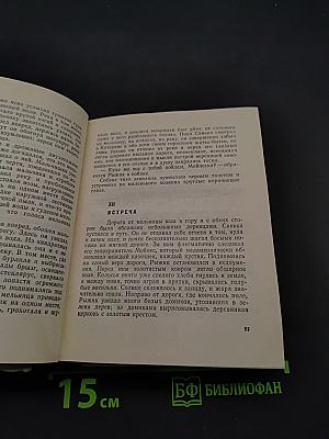 Рыжик