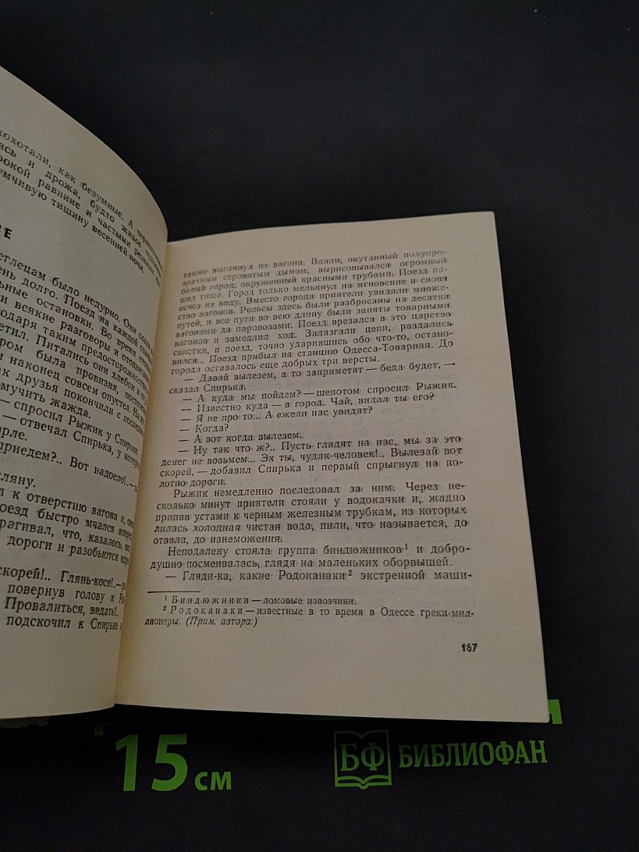 Рыжик