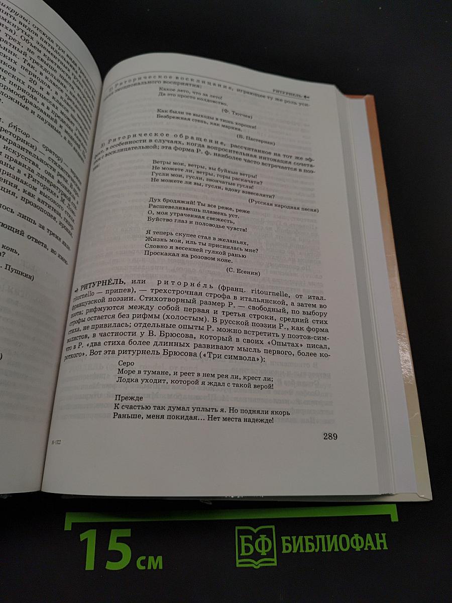 Школьный поэтический словарь