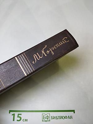 Собрание сочинений в десяти томах. Том четвёртый: Фома Гордеев. Рассказы, очерки, наброски, стихи