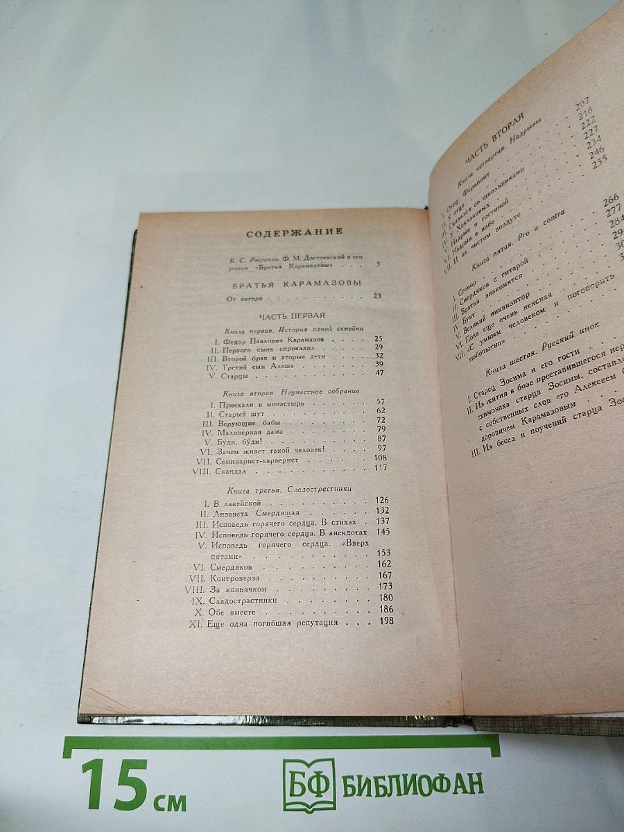 Братья Карамазовы. Часть первая - вторая