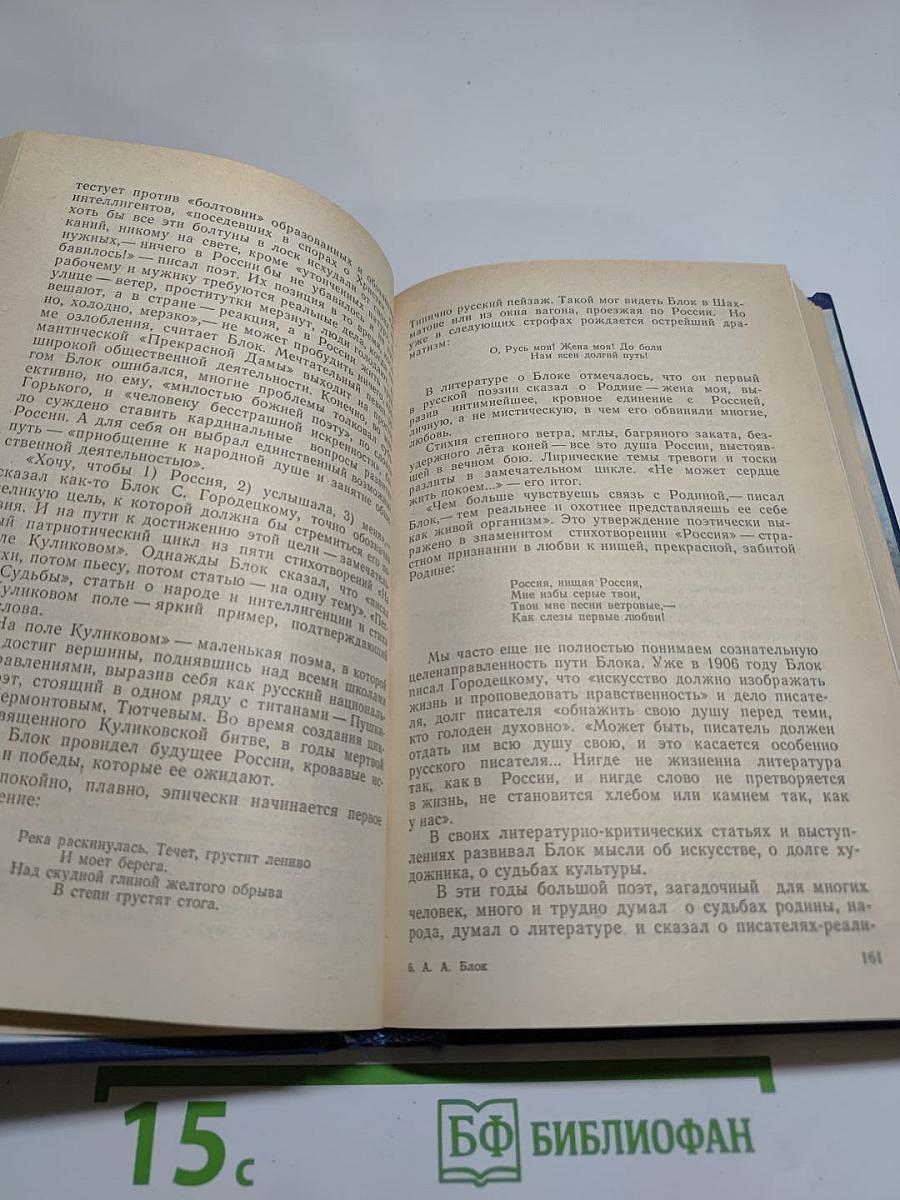 Я лучшей доли не искал... Судьба Александра Блока в письмах, дневниках, воспоминаниях