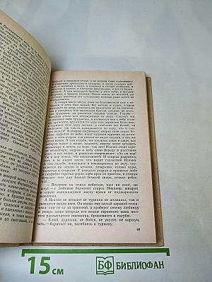 Державный плотник