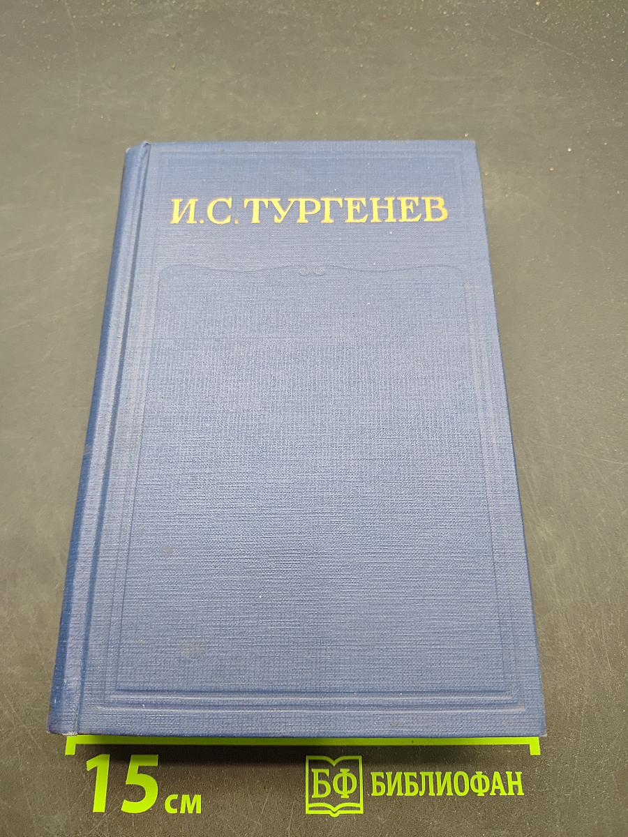 Сочинения. Том шестой. Повести и рассказы «Рудин», статьи и воспоминания 1853–1856