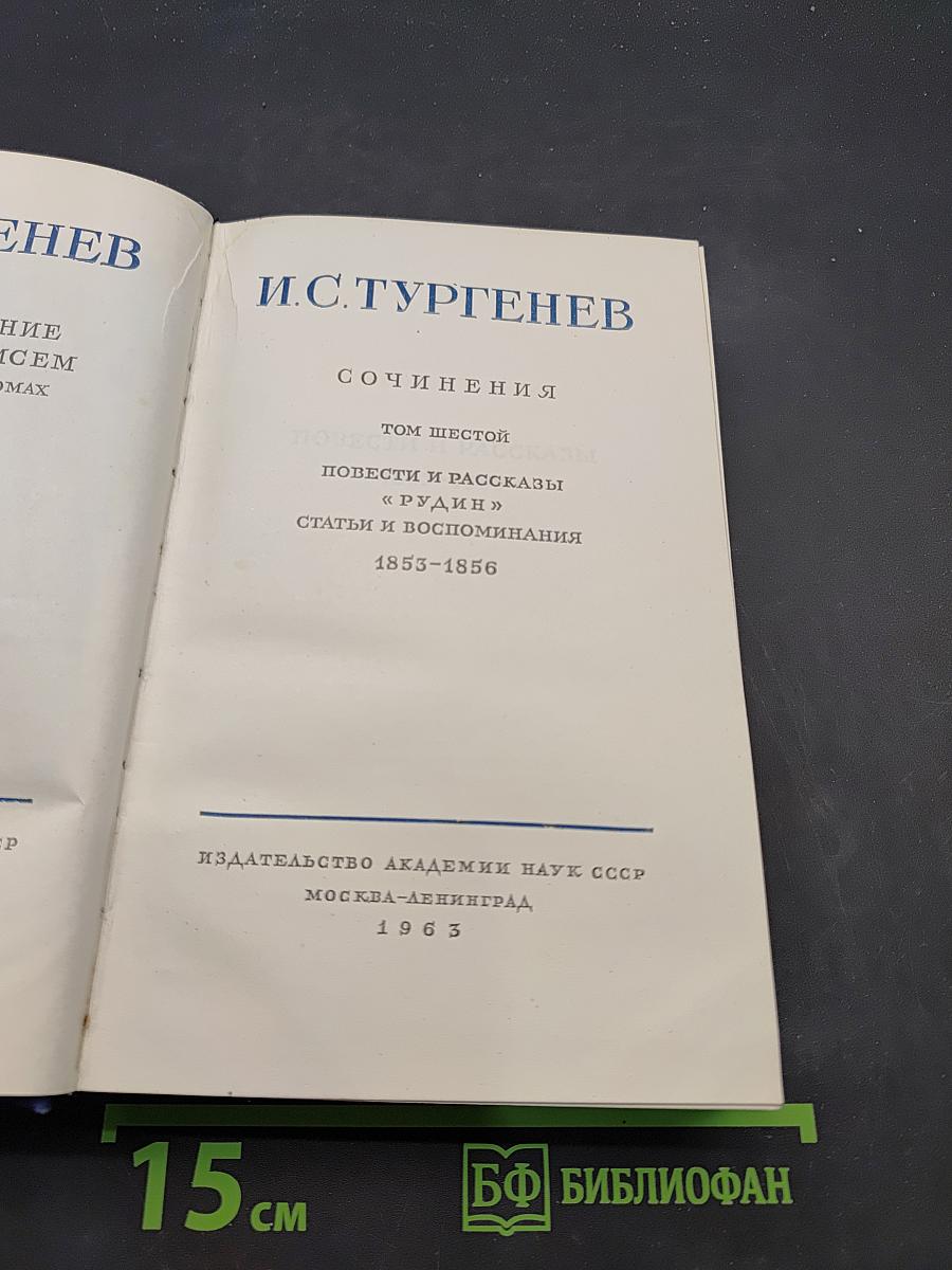Сочинения. Том шестой. Повести и рассказы «Рудин», статьи и воспоминания 1853–1856