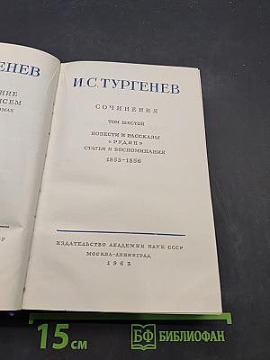 Сочинения. Том шестой. Повести и рассказы «Рудин», статьи и воспоминания 1853–1856